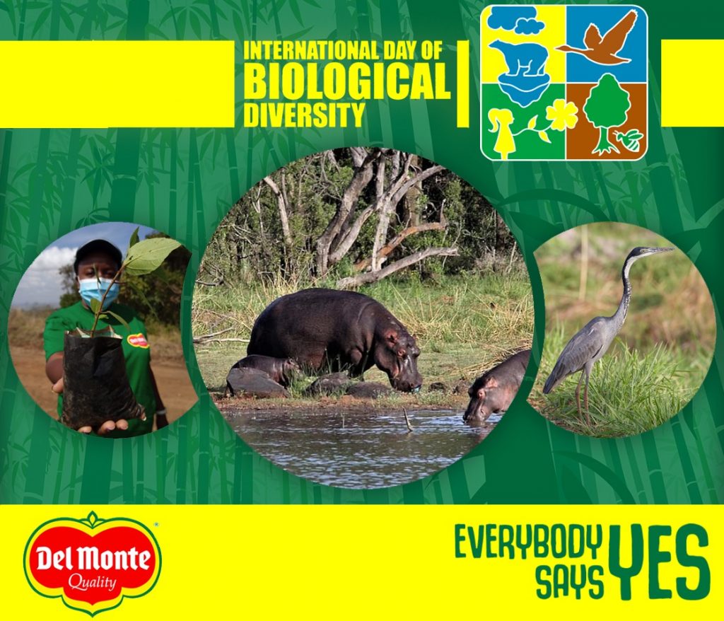 DEL MONTE  PROTECTS BIODIVERSITY IN ITS AGRI-FOOD SYSTEM, ZONES OFF UNCULTIVATED AREAS.