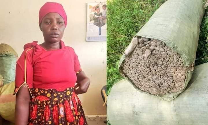 Woman Arrested with 531Kg Bhang Worth Ksh15M in Migori.