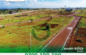 Optiven's Exclusive Valentine’s Offer at Amani Ridge Garden