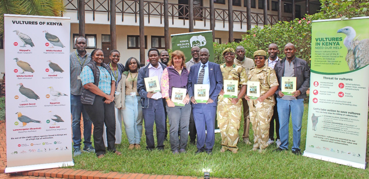 Kenya Launches 10-Year Vulture Conservation Plan Ahead of International Vultures Awareness Day